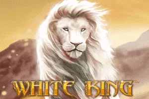 Playtech : White King - HEROBET168